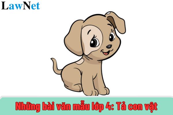 Những bài văn mẫu lớp 4: Tả con vật điểm cao? Ai có thẩm quyền trong việc lựa chọn sách giáo khoa của học sinh lớp 4?