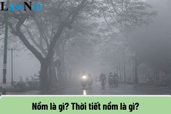 Nồm là gì? Thời tiết nồm là gì? Đặc điểm cơ bản của môn Địa lí ra sao?