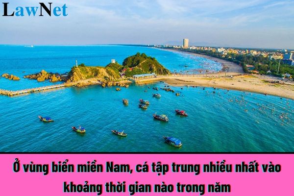 Ở vùng biển miền Nam, cá tập trung nhiều nhất vào khoảng thời gian nào trong năm? Yêu cầu về phương pháp giáo dục môn Địa lí là gì?