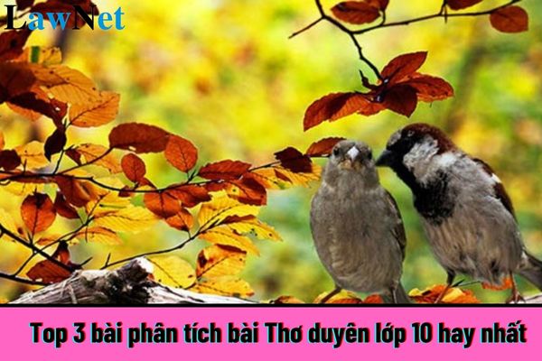 Top 3 bài phân tích bài Thơ duyên lớp 10 hay nhất? Điều kiện để học sinh lớp 10 đạt danh hiệu học sinh giỏi là gì?