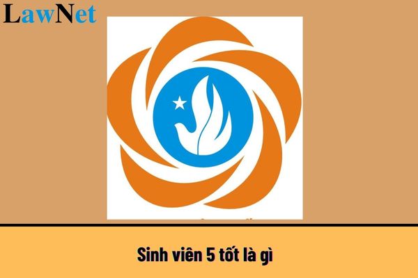 Sinh viên 5 tốt là gì? Sinh viên 5 tốt có lợi ích gì? Sinh viên đại học có các mức đình chỉ học tập có thời hạn nào?