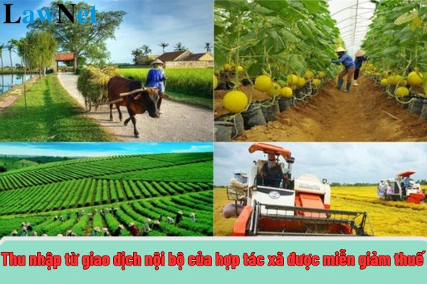 Thu nhập từ giao dịch nội bộ của hợp tác xã được miễn giảm thuế thu nhập doanh nghiệp đúng không?