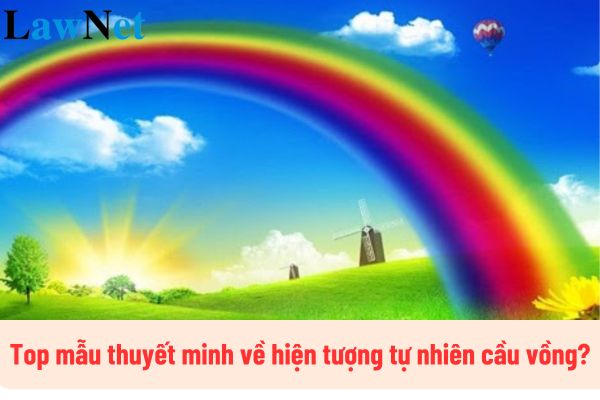 Top mẫu thuyết minh về hiện tượng tự nhiên cầu vồng lớp 8? Học sinh lớp 8 hiện nay mấy tuổi?