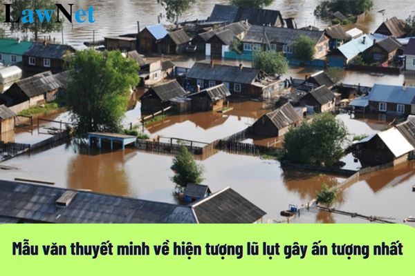 Mẫu văn thuyết minh về hiện tượng lũ lụt gây ấn tượng nhất? Độ tuổi mà học sinh lớp 8 được đến trường ra sao?