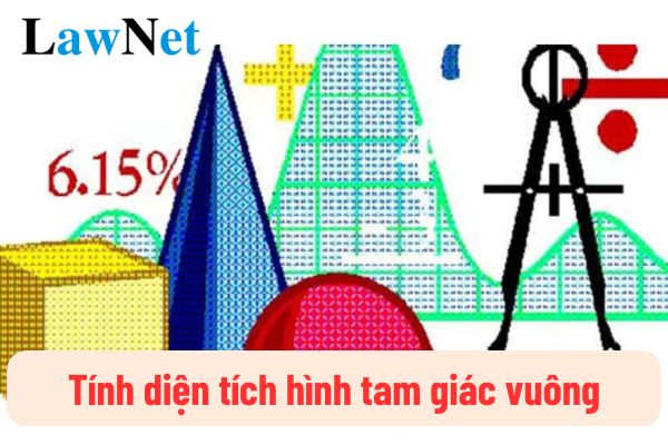 Cách tính diện tích hình tam giác vuông cấp tiểu học? Những yêu cầu cần đạt phần hình học môn toán cấp tiểu học quy định ra sao?