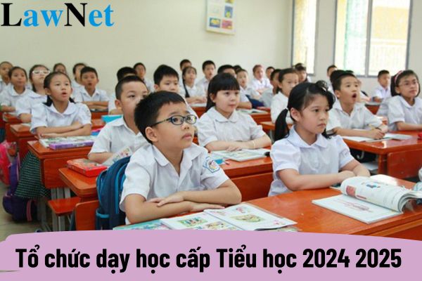 Tổ chức dạy học cấp Tiểu học 2024 2025 ra sao? Việc ghép lớp ở cấp Tiểu học 2024 2025 có được phép hay không?