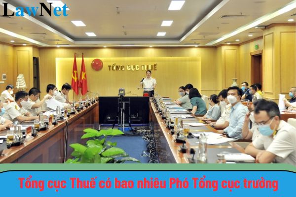 Tổng cục Thuế có bao nhiêu Phó Tổng cục trưởng?