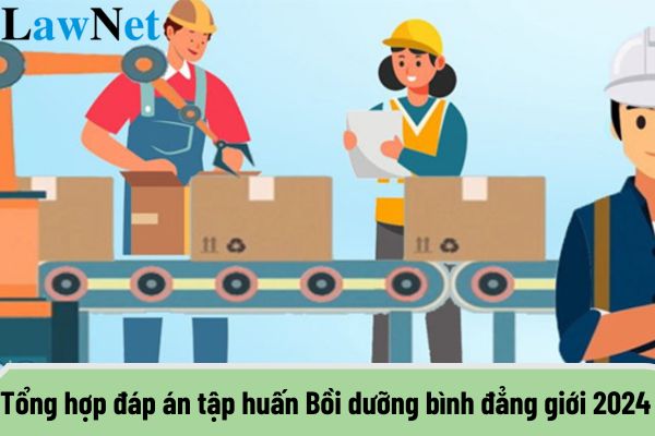 Tổng hợp đáp án tập huấn Bồi dưỡng bình đẳng giới 2024 mới nhất? 4 Tiêu chuẩn để trở thành nhà giáo là gì?