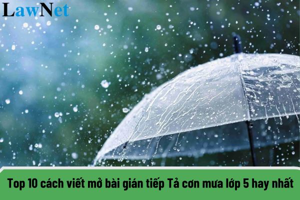 Top 10 cách viết mở bài gián tiếp Tả cơn mưa lớp 5 hay nhất? Hành vi ứng xử trong trương học của học sinh lớp 5 phải như thế nào?