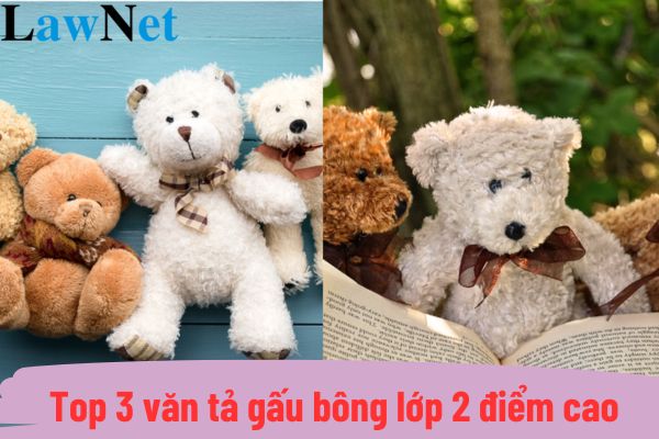 Top 3 văn tả gấu bông lớp 2 điểm cao? 6 Yêu cầu thực hành viết của học sinh lớp 2 là gì?