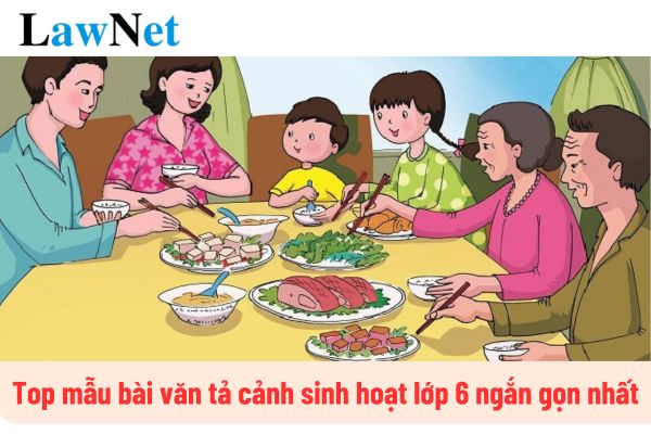 Top mẫu bài văn tả cảnh sinh hoạt lớp 6 ngắn gọn nhất? Độ tuổi tối đa của học sinh vào lớp 6 là bao nhiêu?