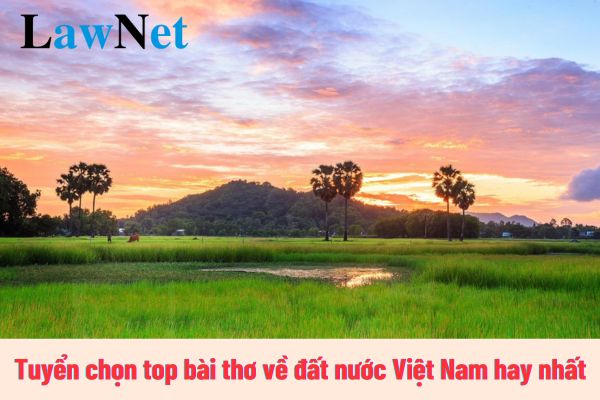 Tuyển chọn top bài thơ về đất nước Việt Nam hay nhất? 5 tiêu chuẩn cần đạt của giáo viên THPT là gì?