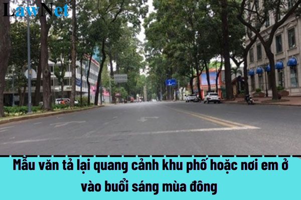 Mẫu văn tả lại quang cảnh khu phố hoặc nơi em ở vào buổi sáng mùa đông chọn lọc?