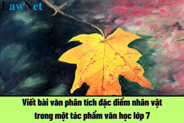 Viết bài văn phân tích đặc điểm nhân vật trong một tác phẩm văn học lớp 7 đạt điểm cao? Hành vi ứng xử và trang phục của giáo viên trường trung học thế nào?