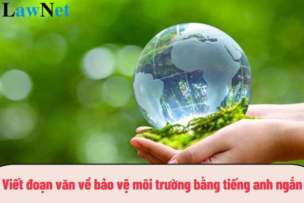 Viết đoạn văn về bảo vệ môi trường bằng tiếng anh ngắn? Hệ thống chủ đề của môn Tiếng Anh được xây dựng trên cơ sở nào nào?