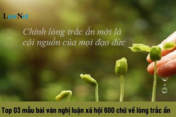 Top 03 mẫu bài văn nghị luận xã hội 600 chữ về lòng trắc ẩn? Yêu cầu cần đạt của văn nghị luận môn ngữ văn lớp 12 là gì?