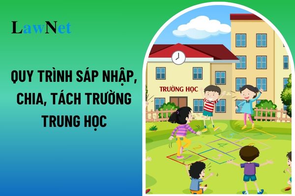 Quy trình sáp nhập, chia, tách trường trung học và các bước thực hiện đúng luật? 