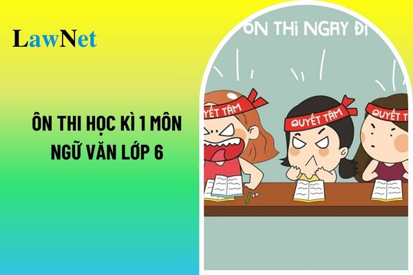 Ôn thi học kì 1 môn Ngữ văn lớp 6 với 3 mẫu bài văn kể lại một trải nghiệm đáng nhớ? Điều kiện để học sinh lớp 6 lên lớp là gì?