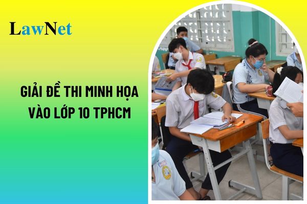 Giải đề thi minh họa vào lớp 10 TPHCM năm 2025 môn Ngữ văn phần đọc hiểu? Hồ sơ tuyển sinh trung học phổ thông bao gồm những gì?