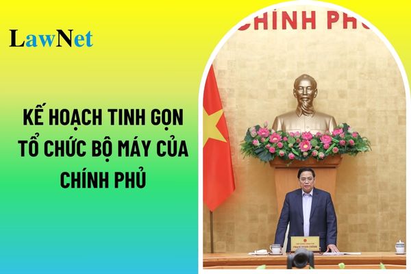 Đã có Kế hoạch 140 kế hoạch tinh gọn tổ chức bộ máy của Chính phủ? Bộ tài chính có trách nhiệm gì trong quản lý thuế? 