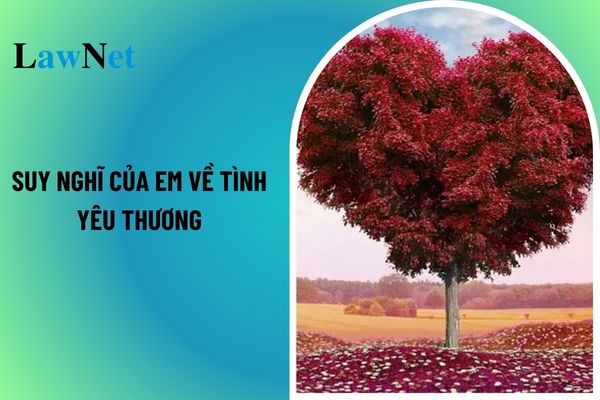 Mẫu viết bài văn nêu suy nghĩ của em về tình yêu thương trong cuộc sống? Bằng tốt nghiệp trung học cơ sở được cấp trong thời hạn nào?