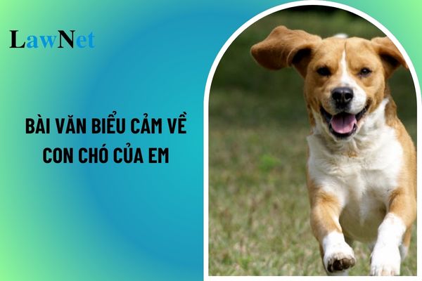 Mẫu viết bài văn biểu cảm về con chó của em Tiếng Việt lớp 4? Liên hệ, so sánh, kết nối có yêu cầu cần đạt gì đối với văn bản văn học?