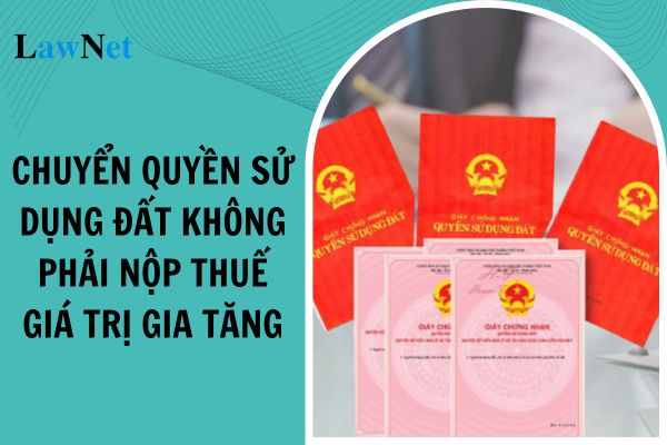 Chuyển quyền sử dụng đất không phải nộp thuế giá trị gia tăng từ ngày 01/07/2025?