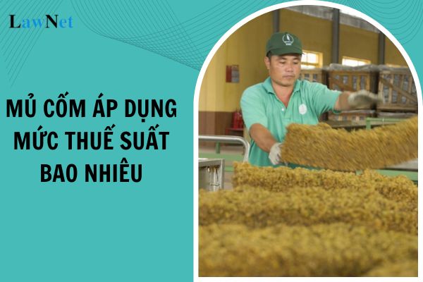 Mức thuế suất thuế giá trị gia tăng áp dụng với mủ cốm từ ngày 01/07/2025 là bao nhiêu?