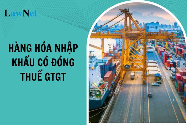 Trong trường hợp nào hàng hóa nhập khẩu không phải đóng thuế giá trị gia tăng?