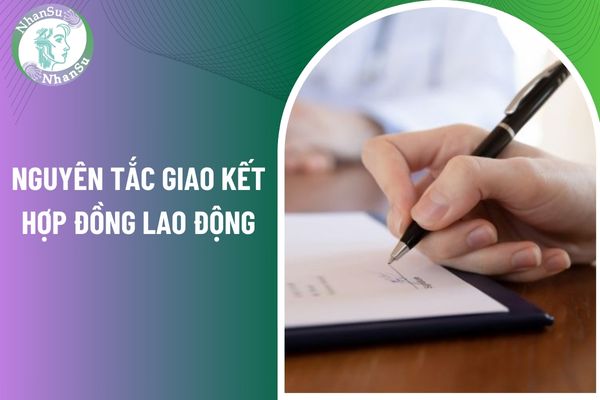 Nguyên tắc giao kết hợp đồng lao động mà các bên cần tuân thủ là gì?