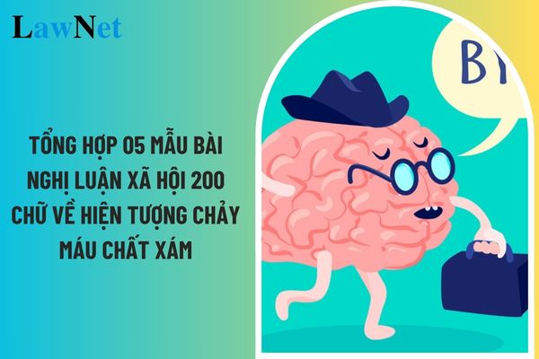 Tổng hợp 05 mẫu bài nghị luận xã hội 200 chữ về hiện tượng chảy máu chất xám? Chương trình môn Ngữ văn lớp 12 được xây dựng trên những tiêu chí nào?