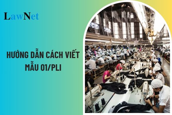 Hướng dẫn cách viết mẫu số 01/PLI báo cáo tình hình sử dụng lao động 6 tháng cuối năm 2024? Doanh nghiệp có bắt buộc quyết toán thuế thu nhập cá nhân cho người lao động không?