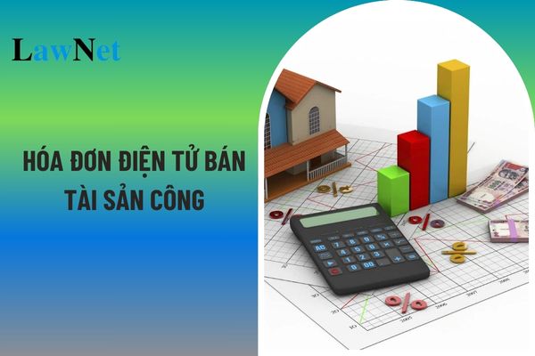 Hóa đơn điện tử bán tài sản công áp dụng cho những loại tài sản nào? Định dạng hóa đơn điện tử gồm mấy thành phần?