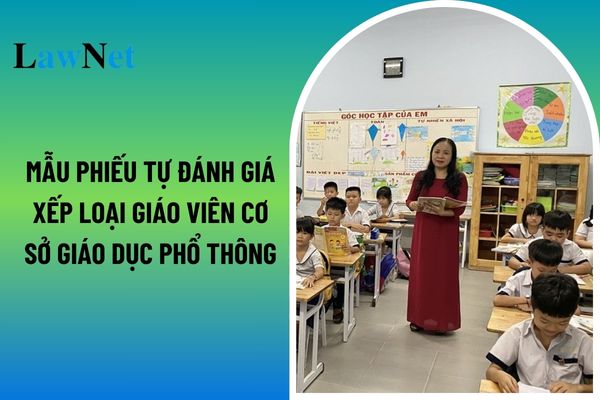 Mẫu phiếu tự đánh giá xếp loại giáo viên cơ sở giáo dục phổ thông theo chuẩn nghề nghiệp? 