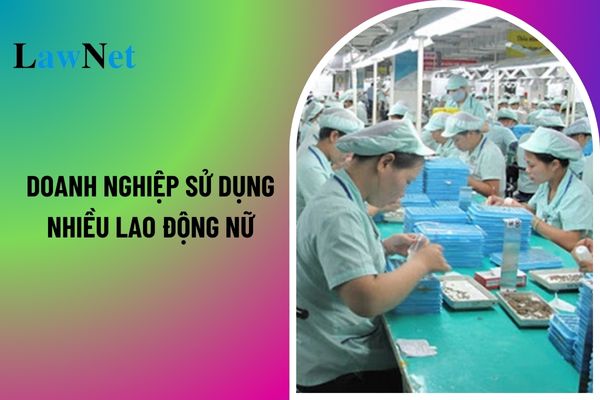 Doanh nghiệp sử dụng nhiều lao động nữ được giảm thuế TNDN trong các lĩnh vực nào? 