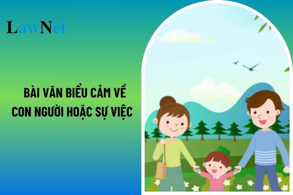 Hướng dẫn viết bài văn biểu cảm về con người hoặc sự việc ngữ văn lớp 7? Yêu cầu cần đạt trong nội dung nói và nghe môn Ngữ văn lớp 7?