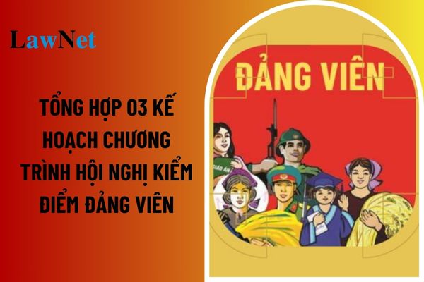 Tổng hợp 03 kế hoạch Chương trình hội nghị kiểm điểm Đảng viên cuối năm 2024? Mức đảng phí của Đảng viên là chủ sở hữu các DN đang làm việc ở ngoài nước?