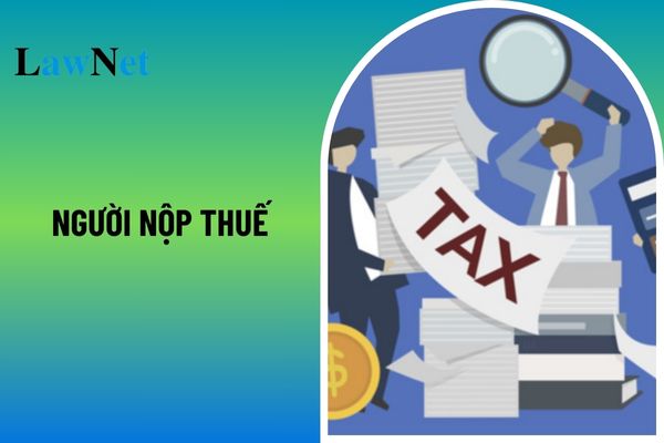 Ai là người nộp thuế trong trường hợp nhiều người cùng đứng tên trong Giấy chứng nhận đăng ký kinh doanh?