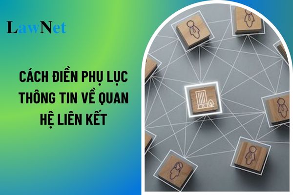 Giao dịch liên kết là gì? Cách điền phụ lục thông tin về quan hệ liên kết và giao dịch liên kết? 