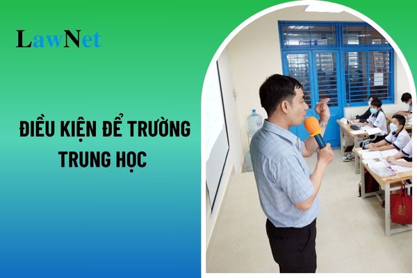 Nghị định 125 quy định điều kiện để trường trung học hoạt động giáo dục từ 20 11 2024? 