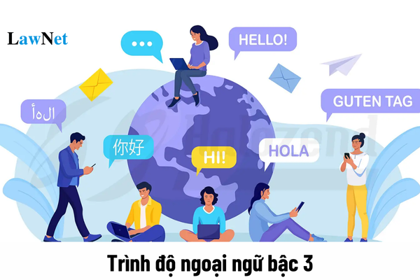 Trình độ ngoại ngữ bậc 3