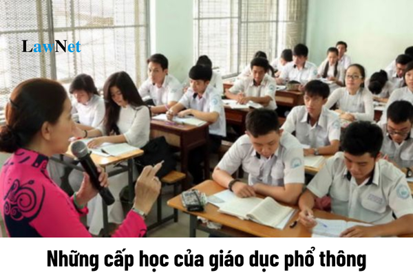 Các cáp học của giáo dục phổ thông