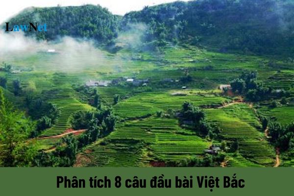 Phân tích 8 cầu đầu bài thơ Việt Bắc ngữ văn lớp 12 dễ hiểu nhất?