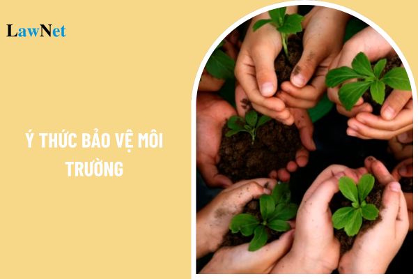 Những mẫu bài văn nghị luận về ý thức bảo vệ môi trường? Những nội dung của chuyên đề văn học hiện đại và hậu hiện đại của môn Ngữ văn lớp 12 là gì?