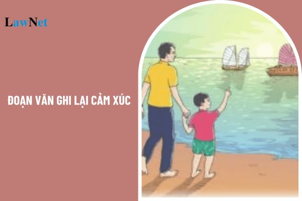 Viết đoạn văn ghi lại cảm xúc về bài thơ Những cánh buồm? Trợ từ, thán từ là nội dung trong kiến thức tiếng Việt Ngữ văn lớp 8?