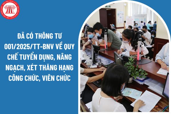 Đã có Thông tư 001/2025/TT-BNV về quy chế tuyển dụng, nâng ngạch, xét thăng hạng công chức, viên chức?