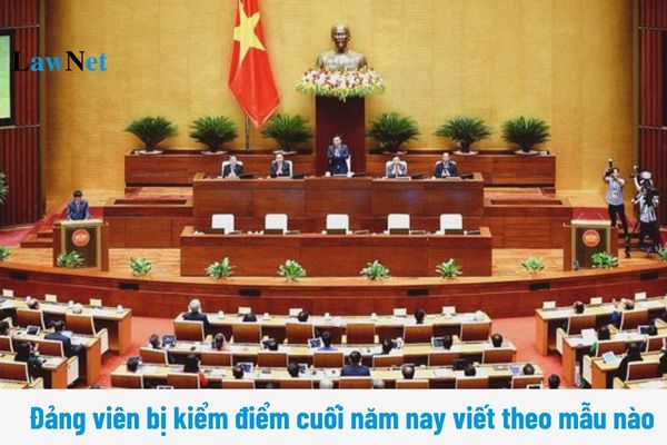 Đảng viên bị kiểm điểm cuối năm 2024 viết theo mẫu nào? Mức đảng phí của Đảng viên hưởng lương bảo hiểm xã hội là bao nhiêu?