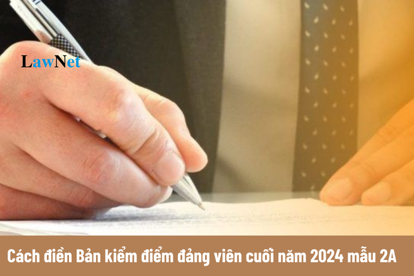 Cách điền Bản kiểm điểm đảng viên cuối năm 2024 mẫu 2A?  Thu nhập từ một số khoản phụ cấp có phải là cơ sở đóng đoàn phí không?