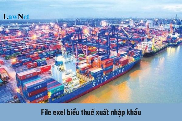 File exel biểu thuế xuất nhập khẩu 2024? Hàng hóa nào phải chịu thuế xuất khẩu?