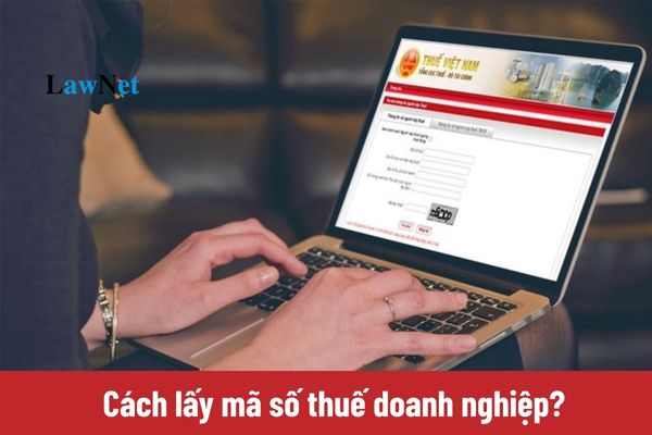 Cách lấy mã số thuế doanh nghiệp?